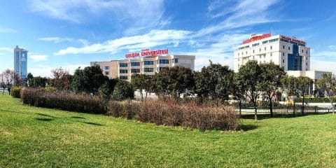 Gelisim University