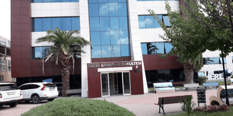 Istanbul Gelisim - University
