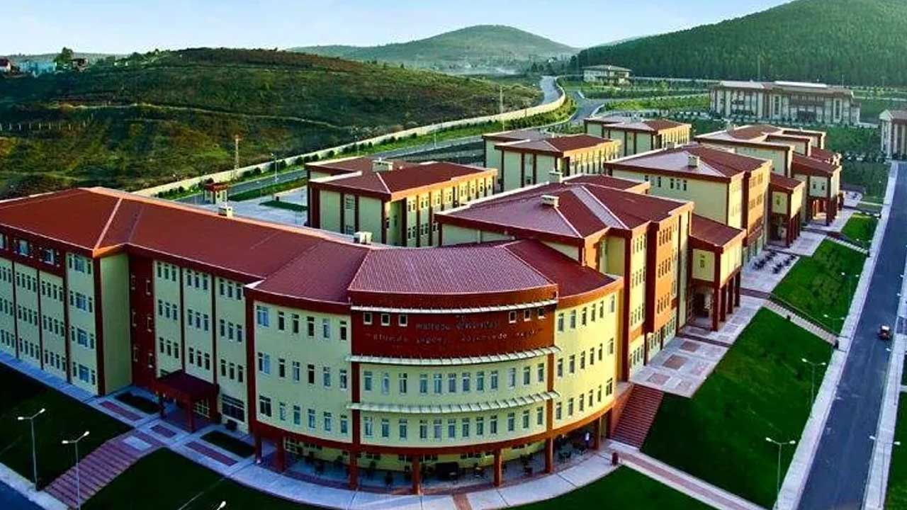 Maltepe University