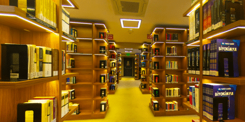 جامعة-اسطنبول كينت