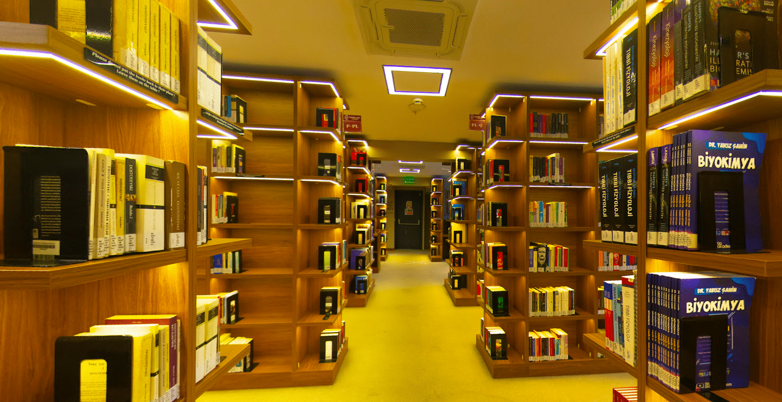 جامعة-اسطنبول كينت