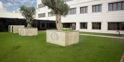 Rumeli-University