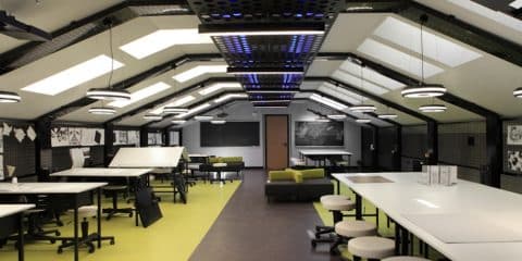 TED - University