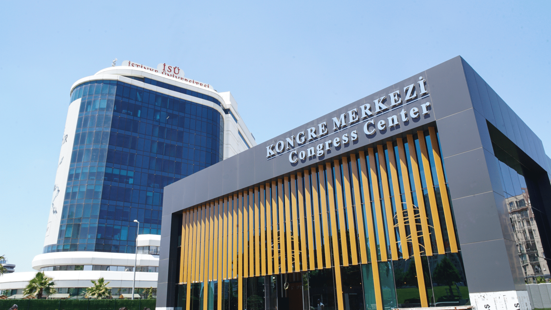 تخصصات جامعة استينيا
