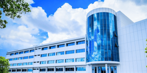جامعة- قبرص للعلوم الصحية والاجتماعية