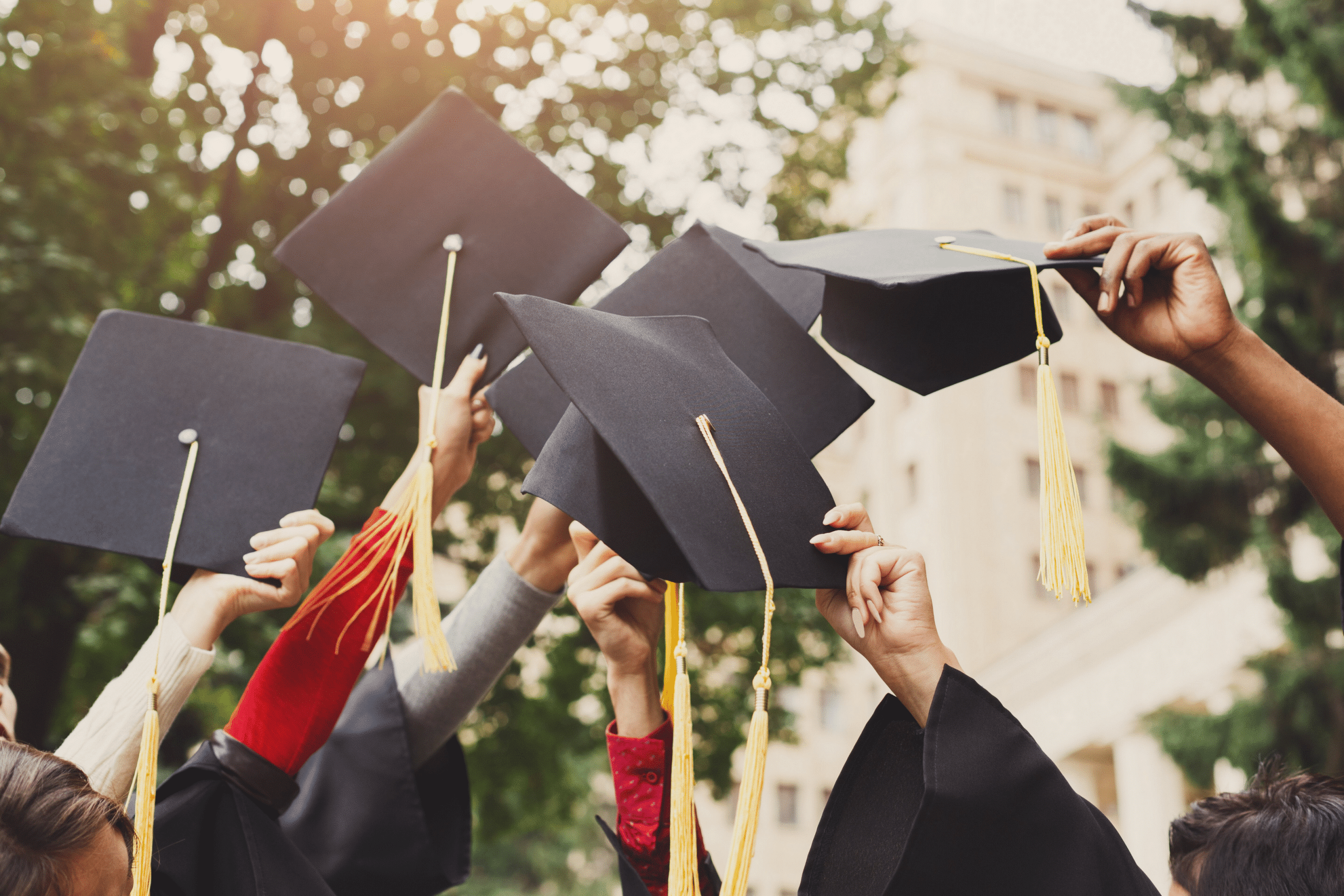 ما هي شروط القبول بالجامعات التركية للطلاب الدوليين؟