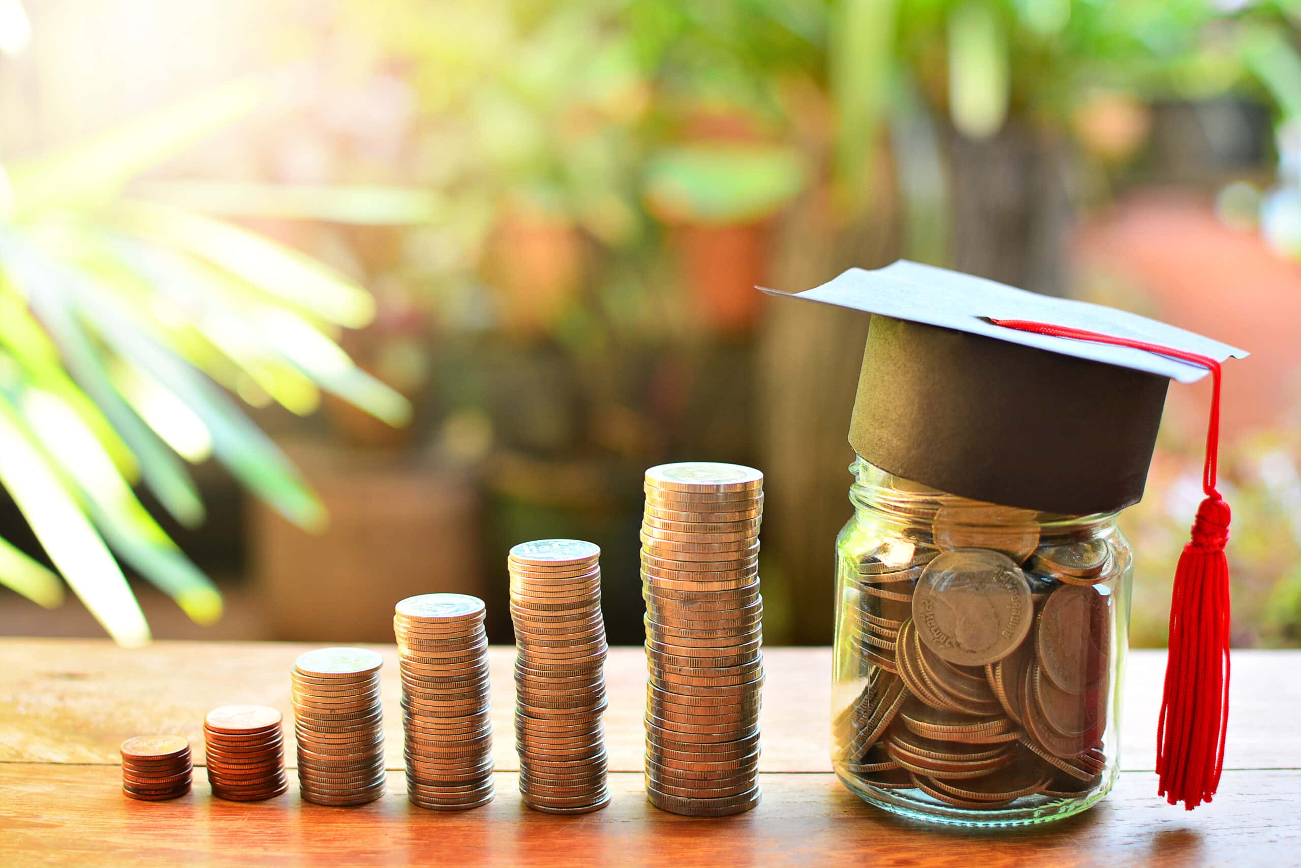 تكلفة ورسوم دراسة الطب في تركيا