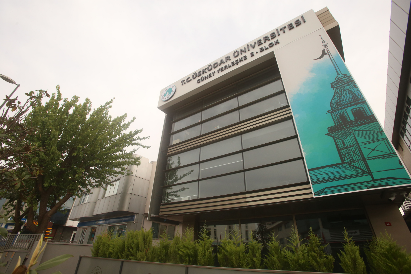 تخصصات جامعة اسكودار