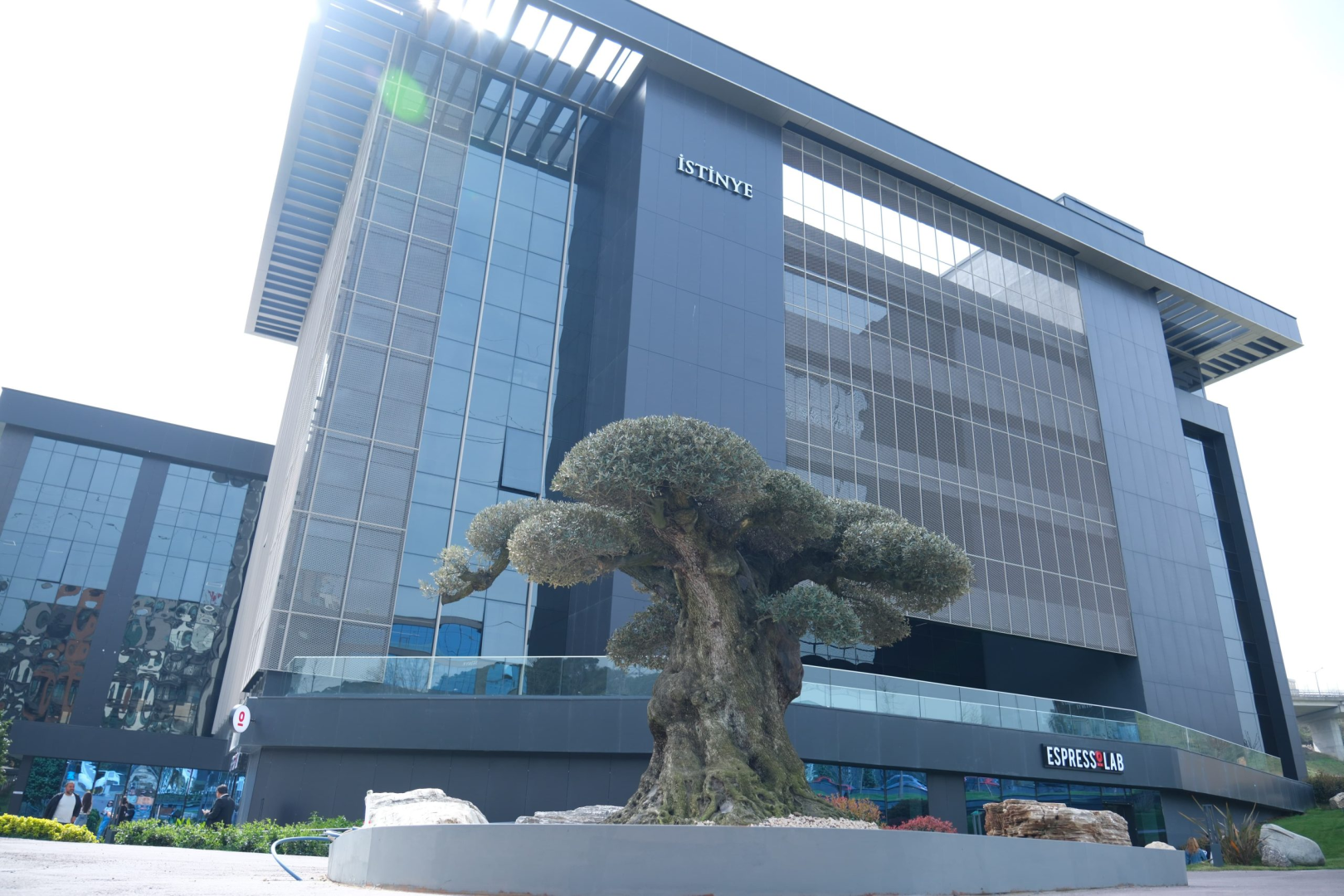 Conditions of Admission to Istinye University